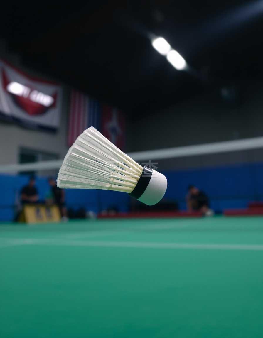 的案例分析 的案例分析