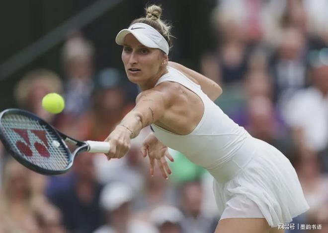 不仅需要体 不仅需要体