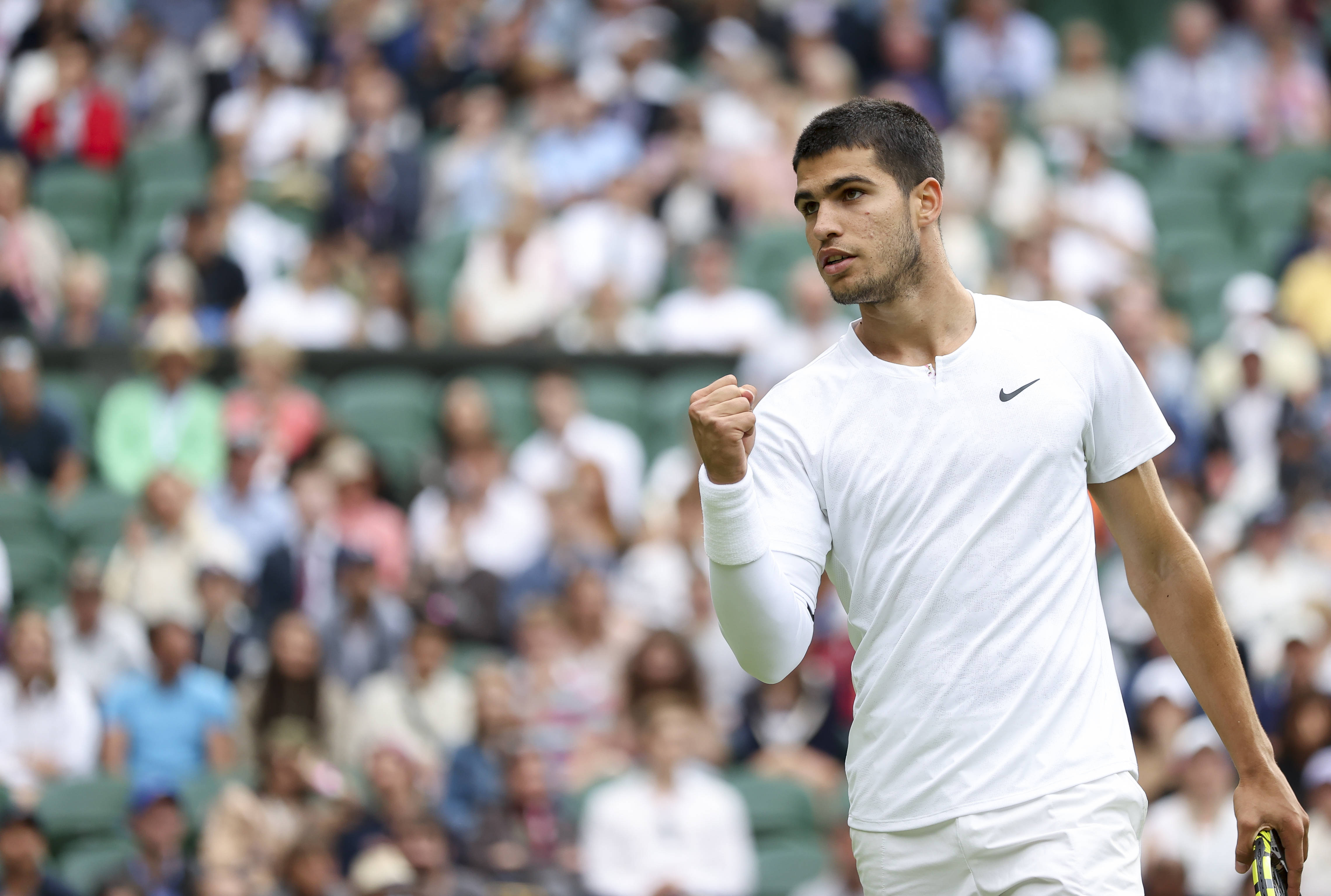 和巧妙的网 和巧妙的网