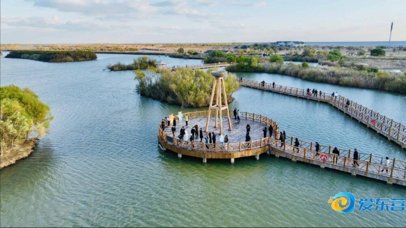 续约条件 续约条件